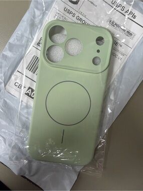 Apple Silicone MagSafe Case in Light Green